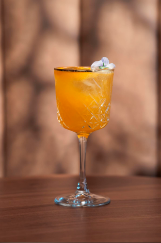 gal_photosandvideos (6)