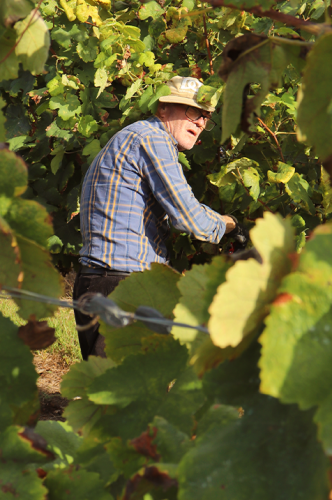 gal_photosandvideos (7)