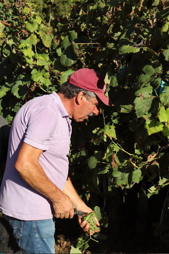 gal_photosandvideos (8)