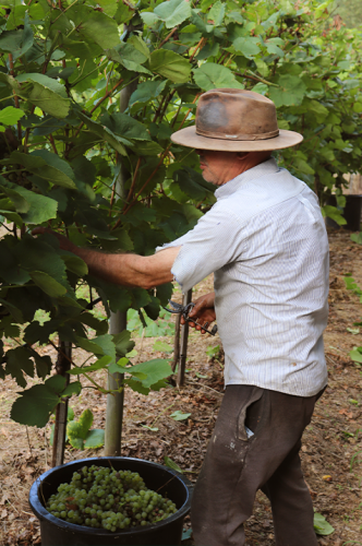 gal_photosandvideos (9)